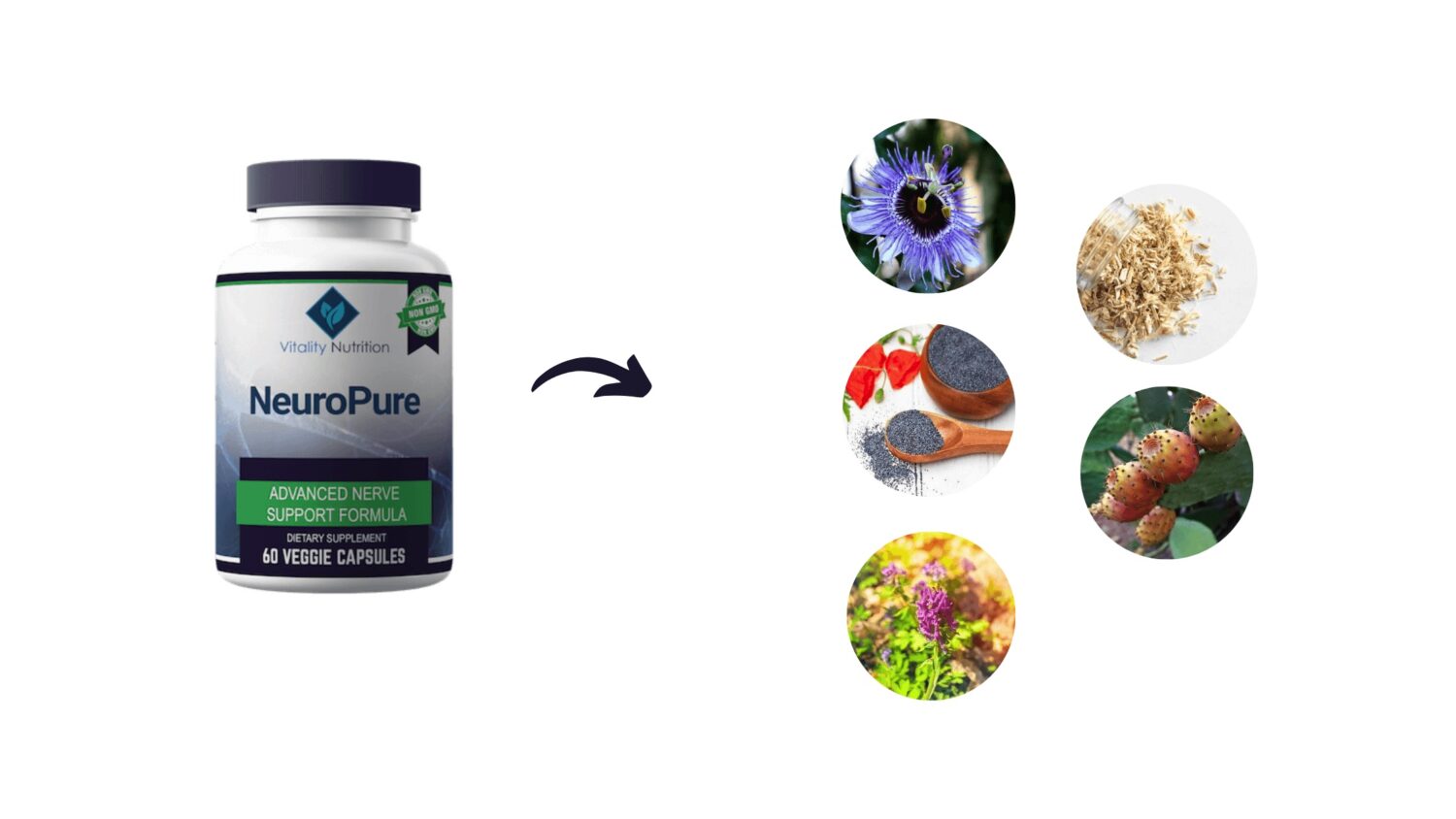 NeuroPure Reviews