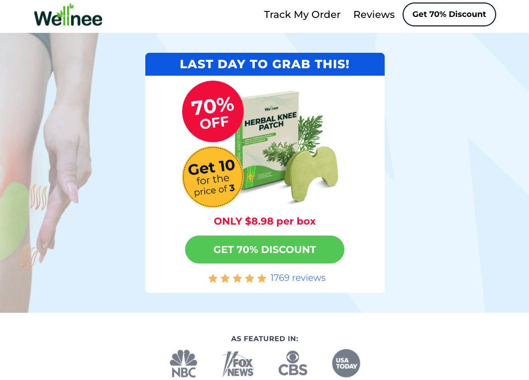 Wellnee Pain Relief Patches