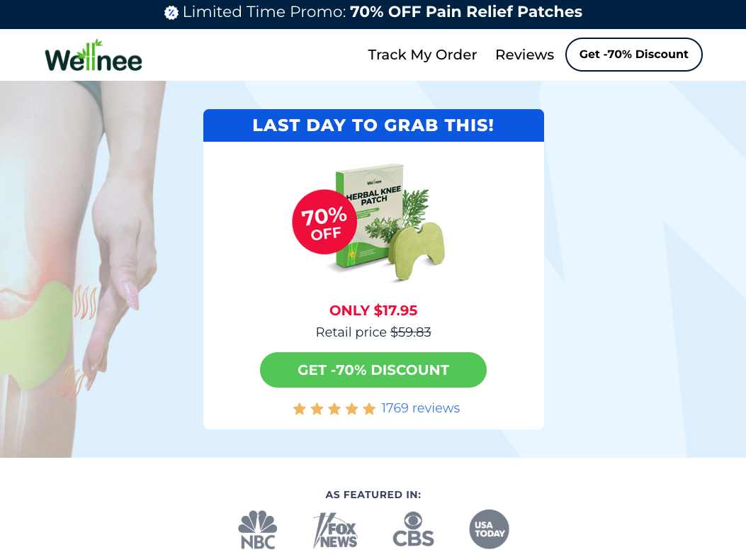 Wellnee Pain Relief Patches