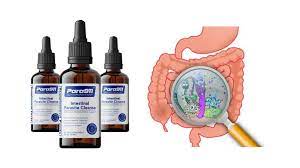 Para911 Parasite Cleanse Canada