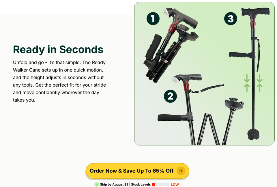 Ready Walker Walking Stick