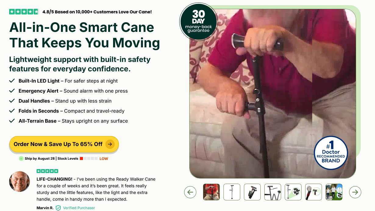Ready Walker Walking Stick